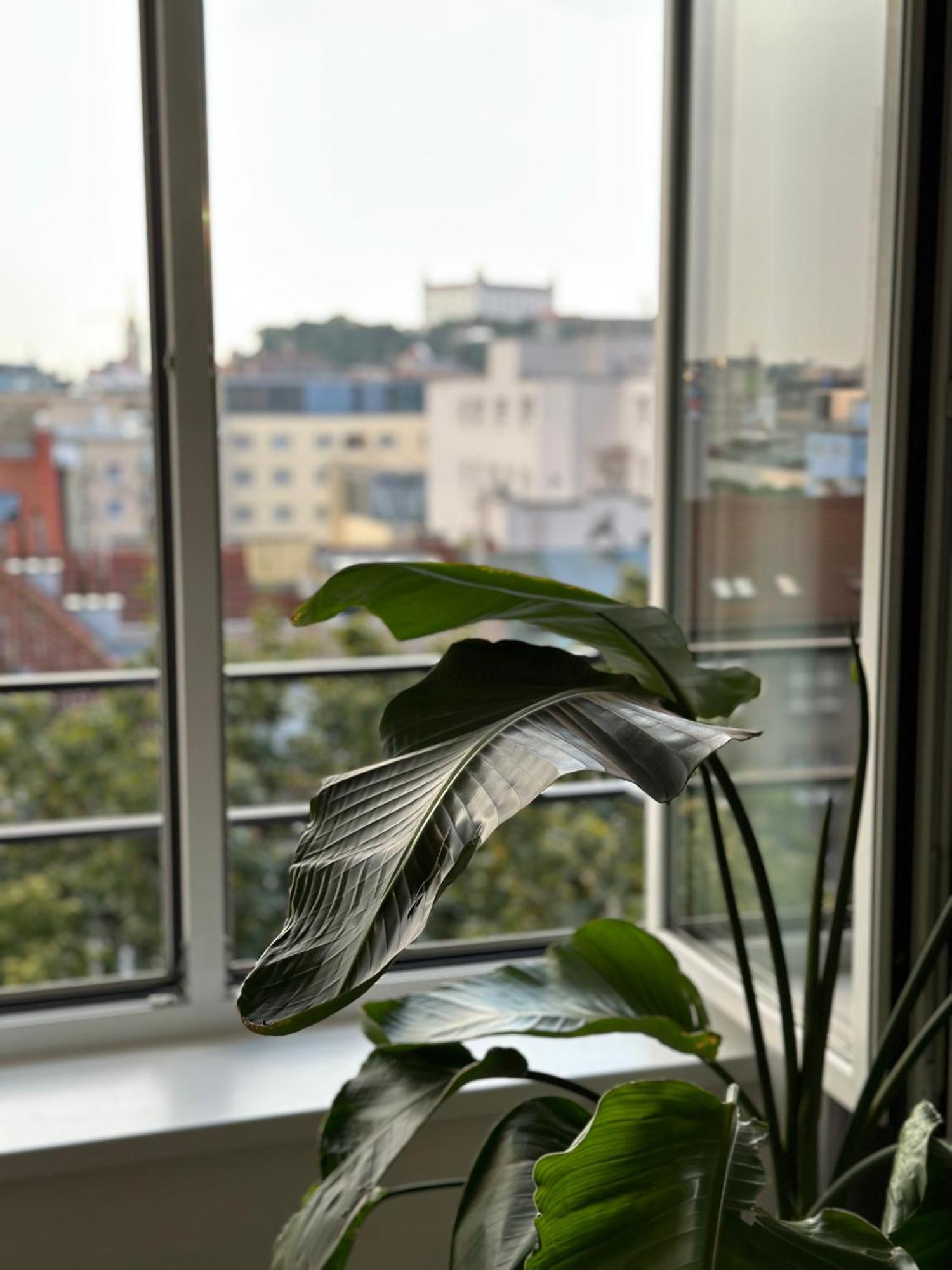 דירות ברטיסלאבה Urban Zenhouse No.2 - Breakfast Included מראה חיצוני תמונה